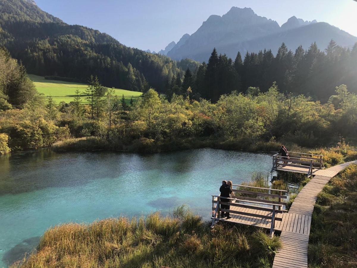 Apartma Gams Kranjska Gora Daire Dış mekan fotoğraf