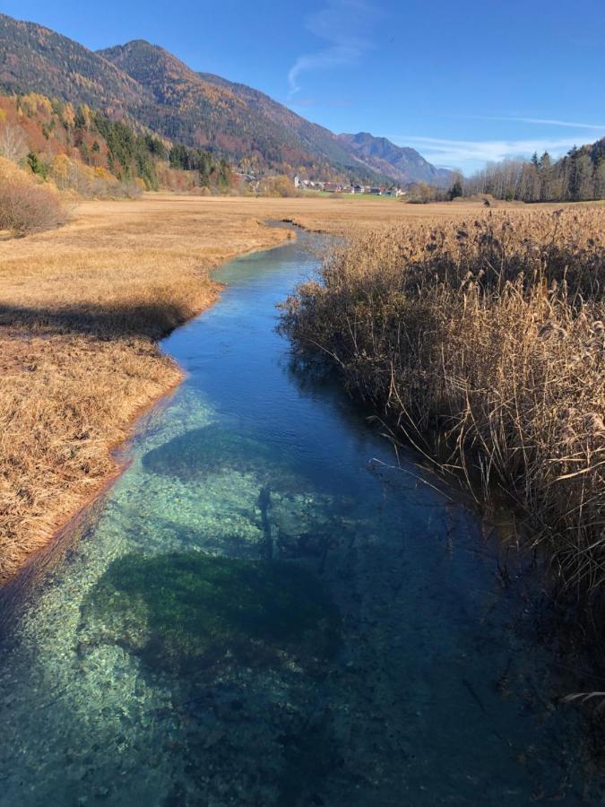 Apartma Gams Kranjska Gora Daire Dış mekan fotoğraf