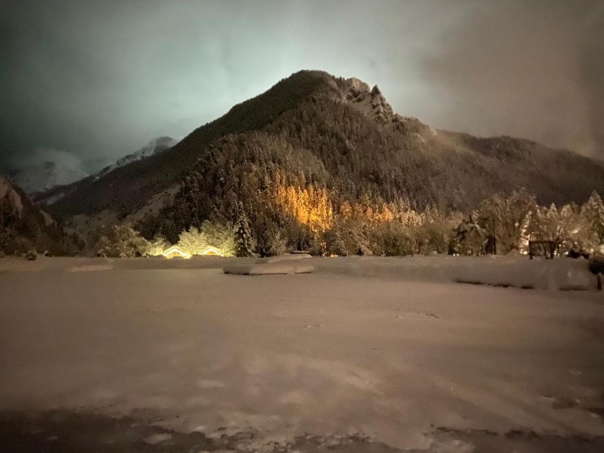 Apartma Gams Kranjska Gora Daire Dış mekan fotoğraf