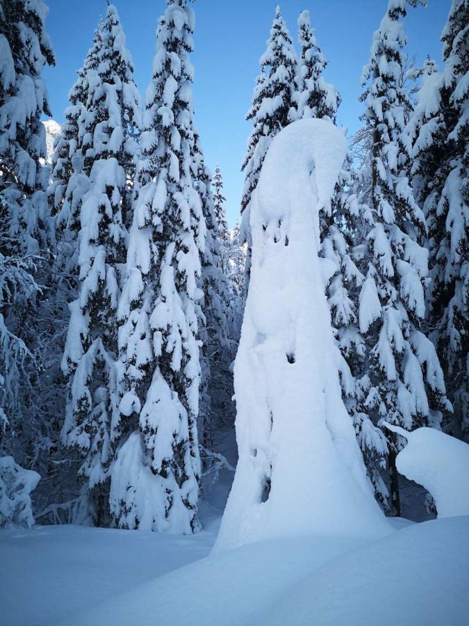 Apartma Gams Kranjska Gora Daire Dış mekan fotoğraf