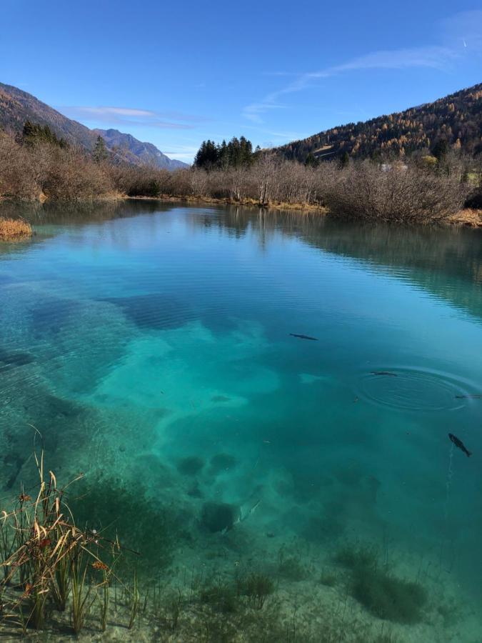 Apartma Gams Kranjska Gora Daire Dış mekan fotoğraf