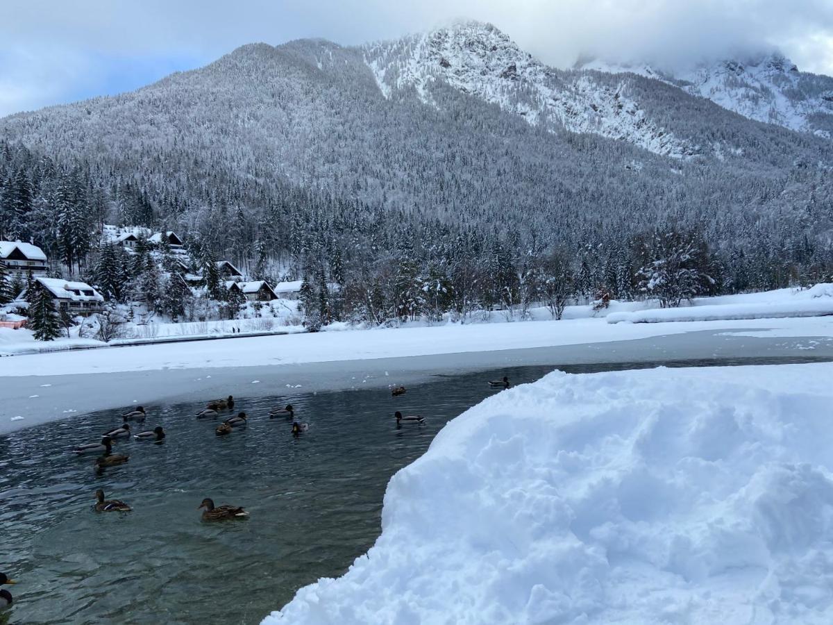 Apartma Gams Kranjska Gora Daire Dış mekan fotoğraf